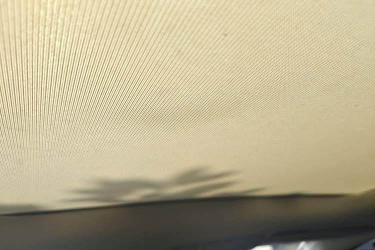 Used Mercedes-Benz C-Class 2019 C 260 L Sport Edition Headliner