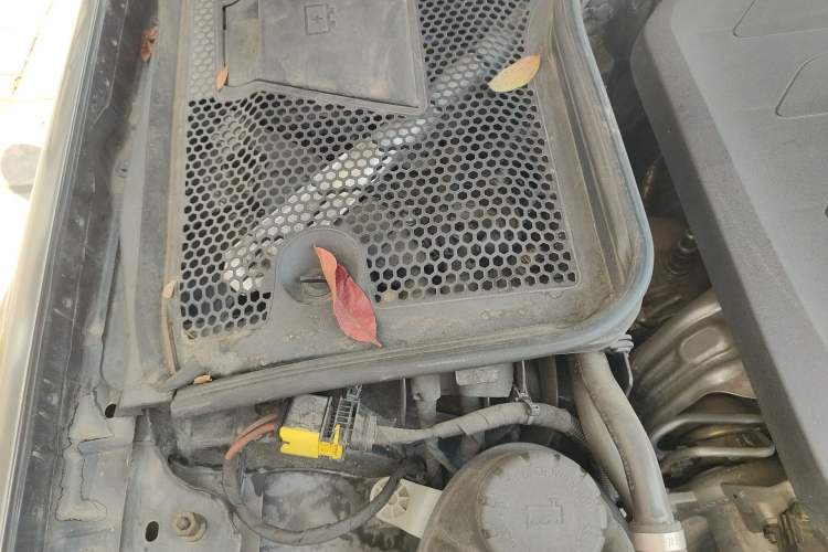 Used Mercedes-Benz C-Class 2019 Updated C 260 L Engine Bay Right