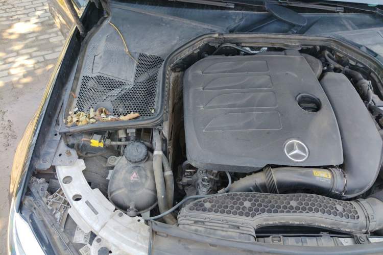 Used Mercedes-Benz C-Class 2019 C 260 L Sport Edition Engine Bay Right