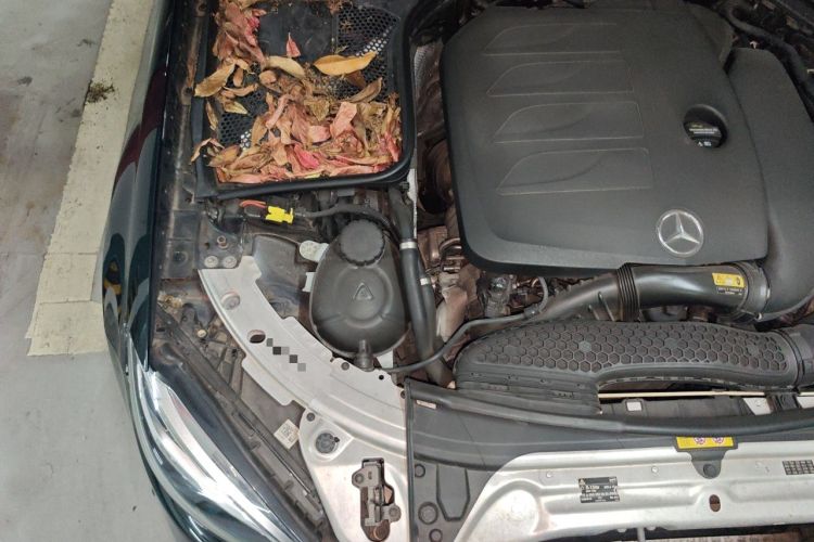 Used Mercedes-Benz C-Class 2019 Restyled C 260 L Sport Edition Engine Bay Right