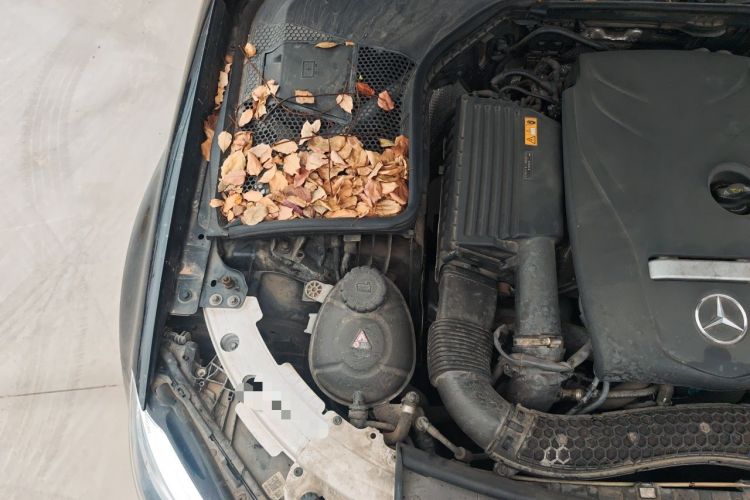 Used Mercedes-Benz C-Class 2019 C 180 L Fashion Edition Sport Version Engine Bay Right
