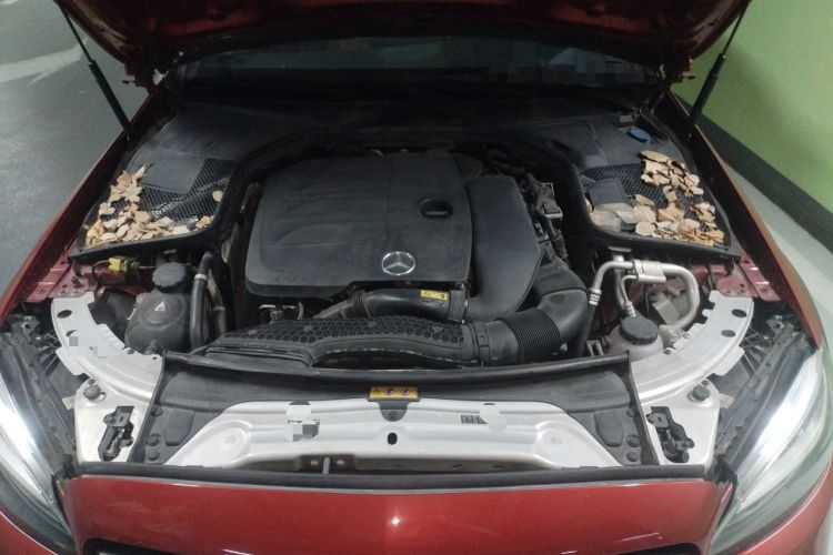 Used Mercedes-Benz C-Class 2019 C 260 Sport Edition Engine Bay