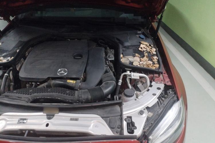 Used Mercedes-Benz C-Class 2019 C 260 Sport Edition Engine Bay Left
