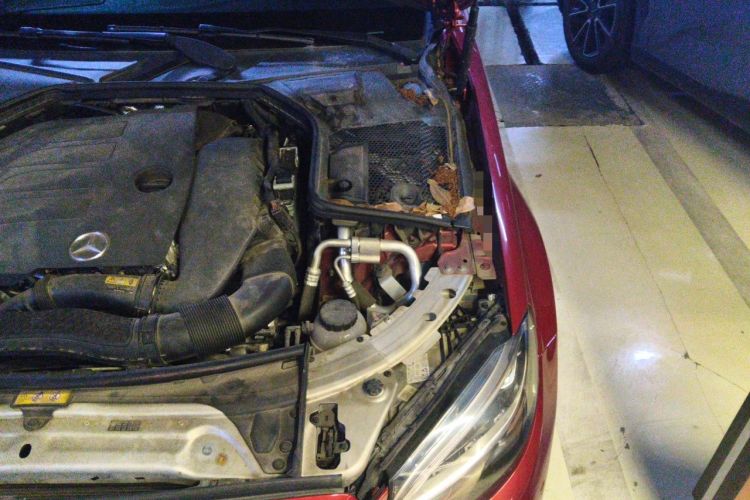 Used Mercedes-Benz C-Class 2019 Restyled C 260 L Sport Edition Engine Bay Left