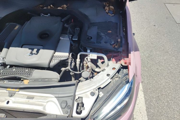 Used Mercedes-Benz C-Class 2019 C 180 L Fashion Edition Sport Version Engine Bay Left