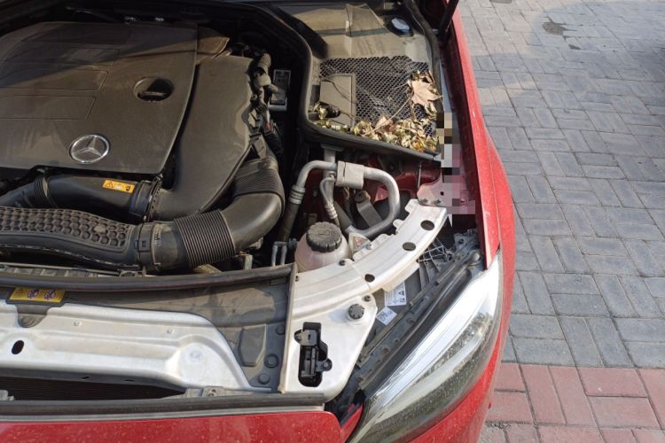 Used Mercedes-Benz C-Class 2019 C 260 Coupe Engine Bay Left
