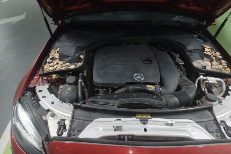 Used Mercedes-Benz C-Class 2019 C 260 Sport Edition Engine Bay Right