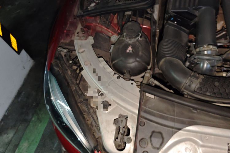 Used Mercedes-Benz C-Class 2019 C 180 L Fashion Edition Sport Version Engine Bay Right