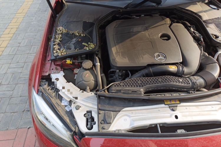 Used Mercedes-Benz C-Class 2019 C 260 Coupe Engine Bay Right
