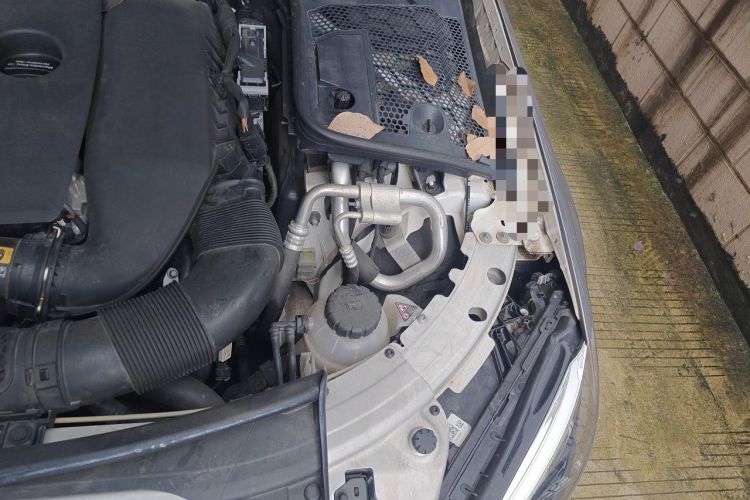 Used Mercedes-Benz C-Class 2019 C 260 Sport Edition Engine Bay Left