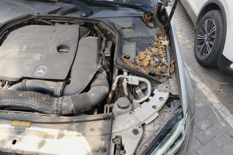 Used Mercedes-Benz C-Class 2019 Restyled C 260 L Sport Edition Engine Bay Left