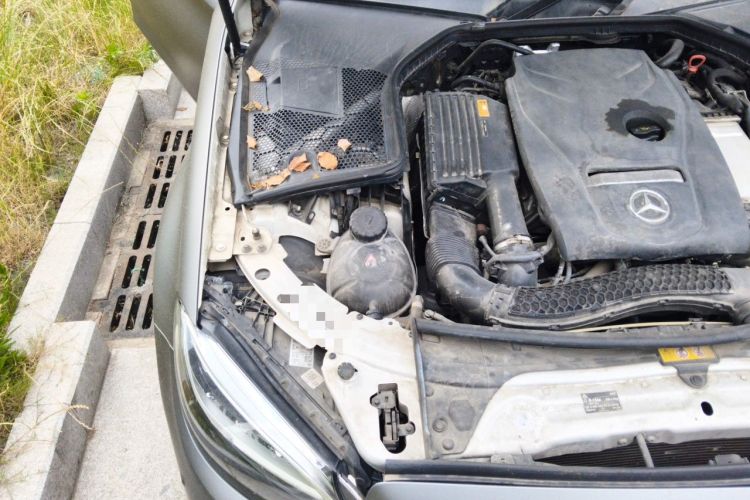 Used Mercedes-Benz C-Class 2019 C 180 L Fashion Edition Sport Version Engine Bay Right