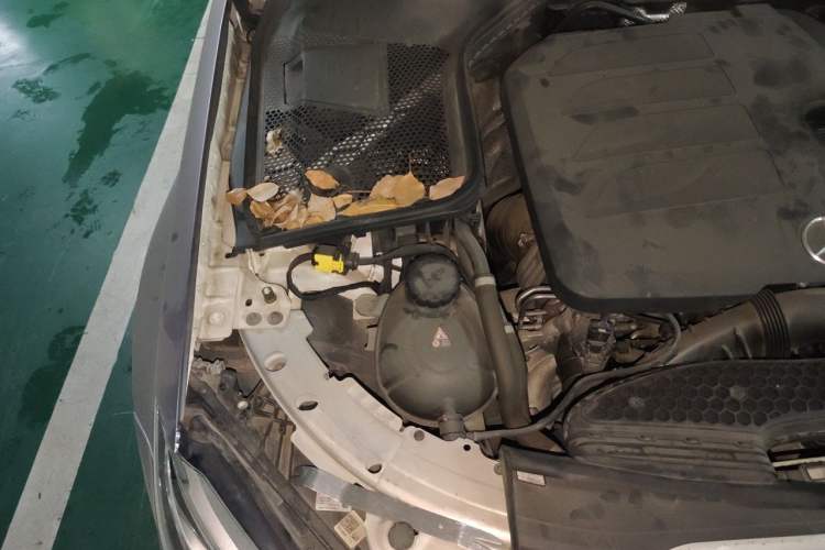 Used Mercedes-Benz C-Class 2019 Restyled C 260 L Sport Edition Engine Bay Right