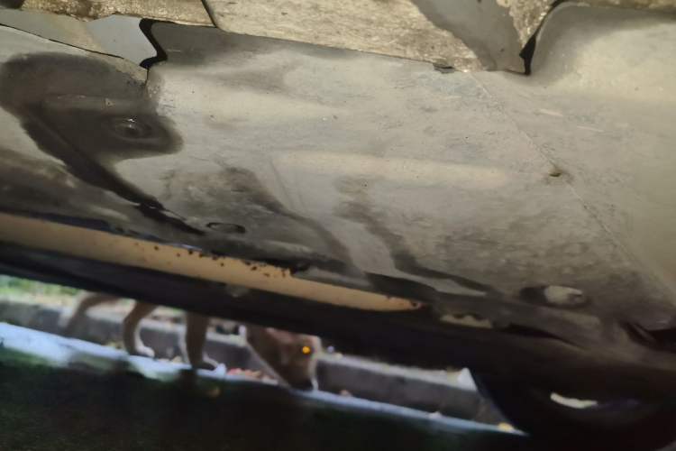 Used Mercedes-Benz C-Class 2019 Restyled C 260 L Sport Edition Chassis Front Right