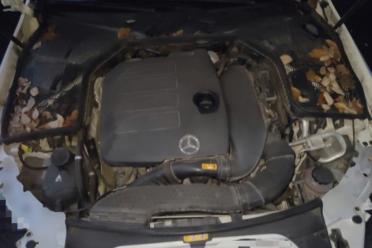 Used Mercedes-Benz C-Class 2019 Restyled C 260 L Sport Edition Engine Bay
