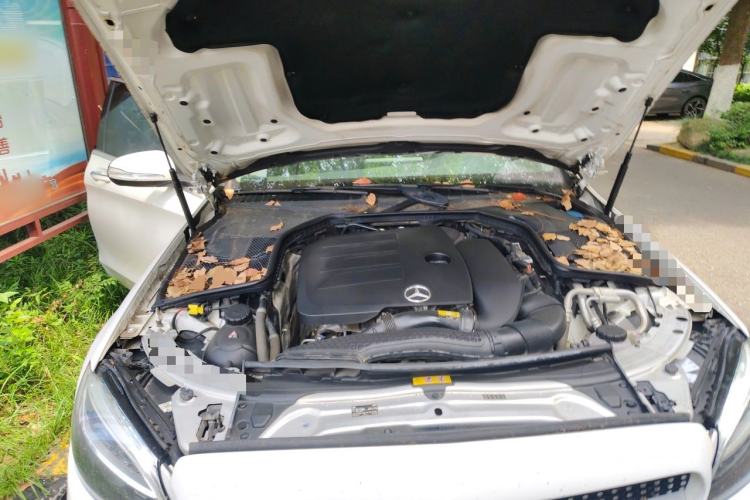 Used Mercedes-Benz C-Class 2019 C 260 L Sport Edition Engine Bay