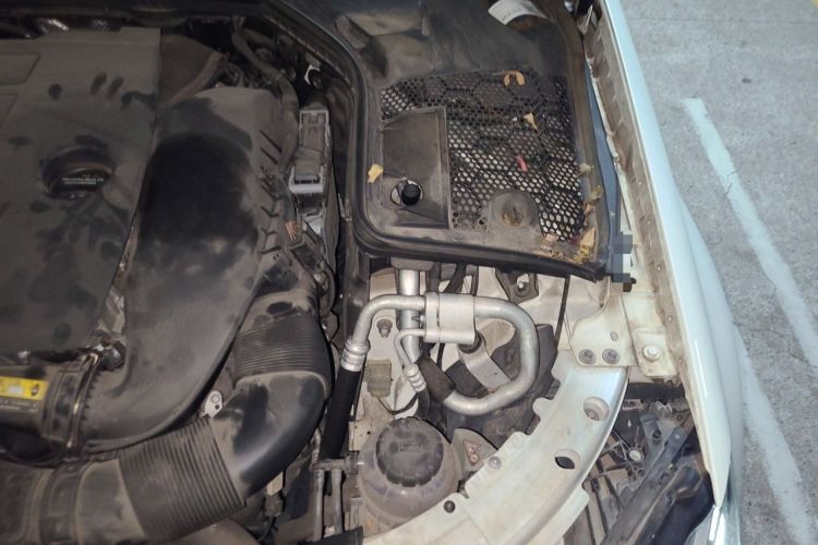 Used Mercedes-Benz C-Class 2019 Restyled C 260 L Sport Edition Engine Bay Left