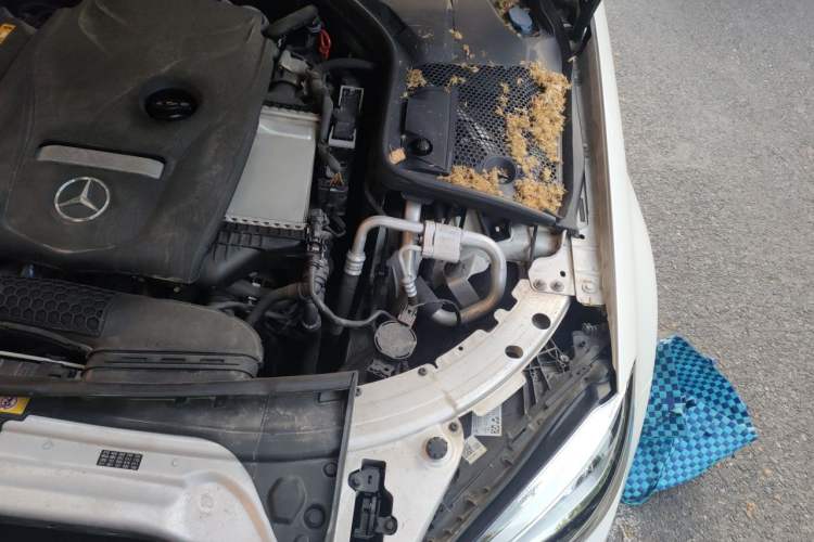 Used Mercedes-Benz C-Class 2019 C 180 L Fashion Edition Sport Version Engine Bay Left