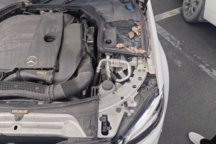Used Mercedes-Benz C-Class 2019 C 260 Estate Engine Bay Left