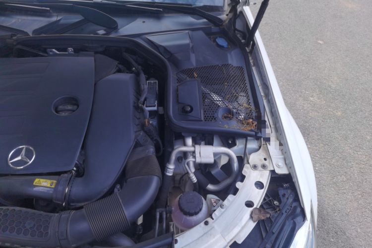 Used Mercedes-Benz C-Class 2019 C 260 L Sport Edition Engine Bay Left