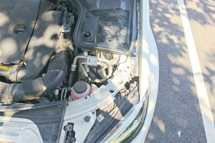 Used Mercedes-Benz C-Class 2019 C 260 L Sport Edition Engine Bay Left