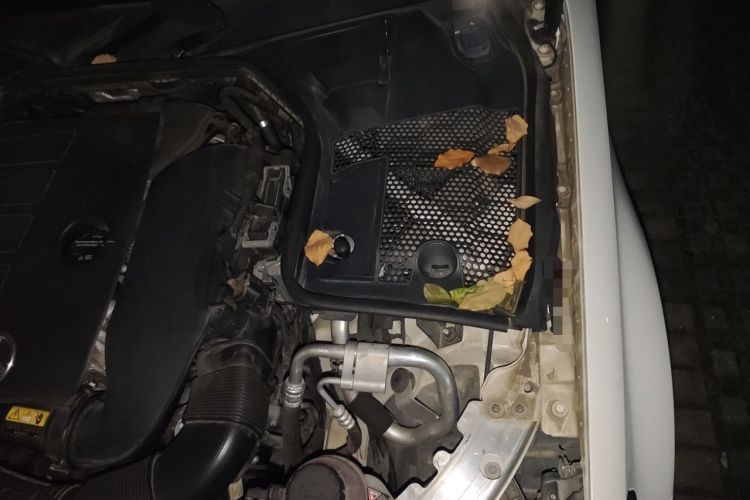 Used Mercedes-Benz C-Class 2019 C 260 Sport Edition Engine Bay Left