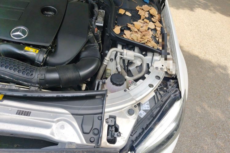 Used Mercedes-Benz C-Class 2019 C 260 L Sport Edition Engine Bay Left