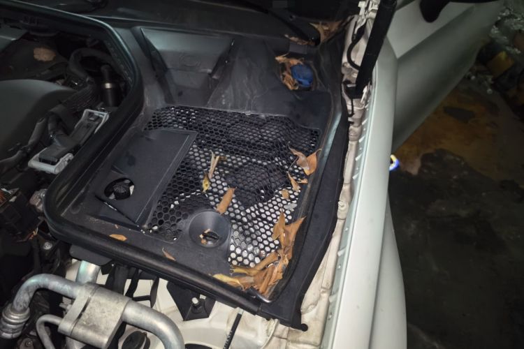 Used Mercedes-Benz C-Class 2019 C 260 Coupe Engine Bay Left
