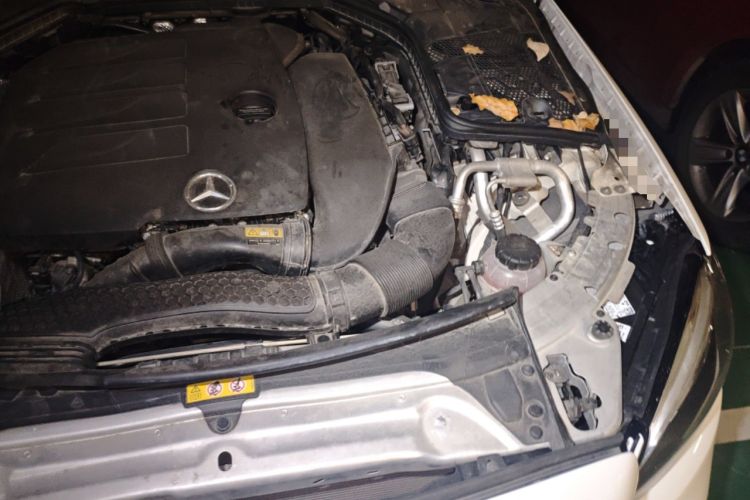Used Mercedes-Benz C-Class 2019 C 260 Coupe Engine Bay Left