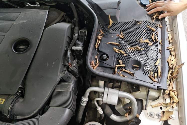 Used Mercedes-Benz C-Class 2019 C 260 L Sport Edition Engine Bay Left