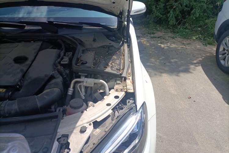 Used Mercedes-Benz C-Class 2019 Restyled C 260 L Sport Edition Engine Bay Left