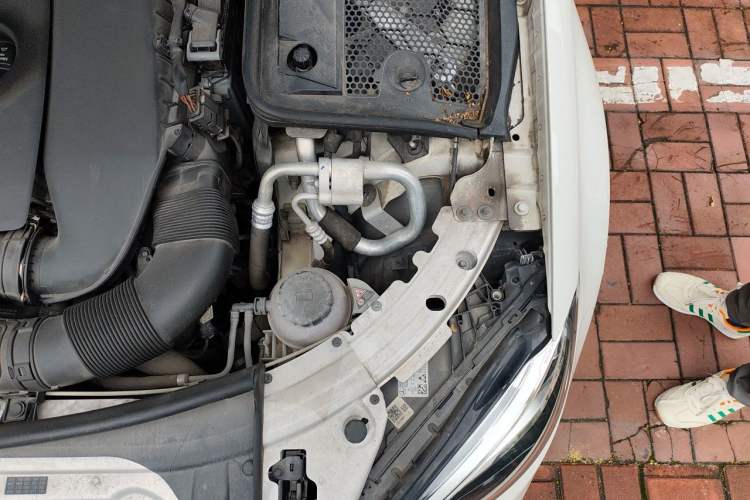 Used Mercedes-Benz C-Class 2019 C 260 L Sport Edition Engine Bay Left