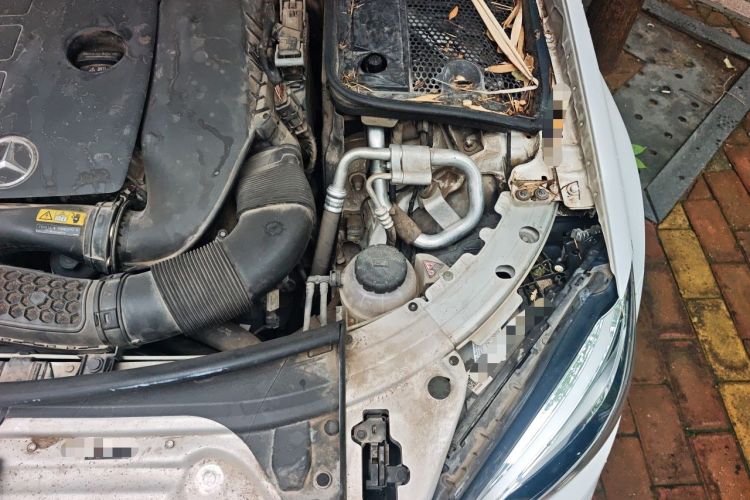Used Mercedes-Benz C-Class 2019 C 260 L Sport Edition Engine Bay Left