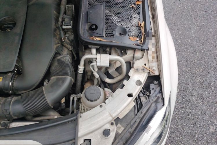 Used Mercedes-Benz C-Class 2019 C 260 L Engine Bay Left