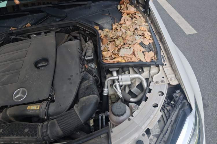 Used Mercedes-Benz C-Class 2019 C 260 Sport Edition Engine Bay Left