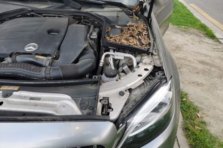 Used Mercedes-Benz C-Class 2019 C 260 Sport Edition Engine Bay Left