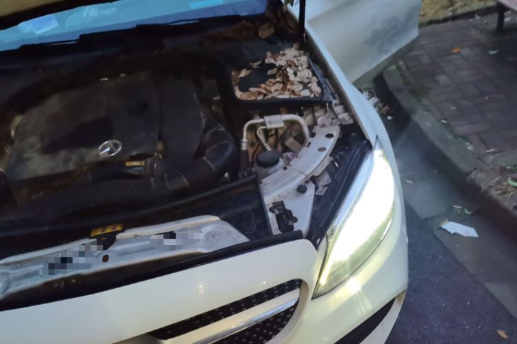 Used Mercedes-Benz C-Class 2019 Restyled C 260 L Sport Edition Engine Bay Left