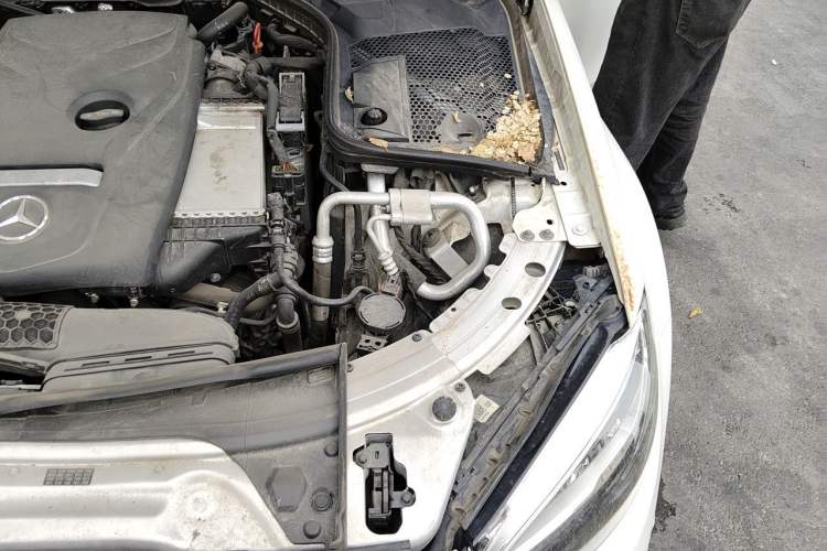 Used Mercedes-Benz C-Class 2019 C 180 L Fashion Edition Sport Version Engine Bay Left