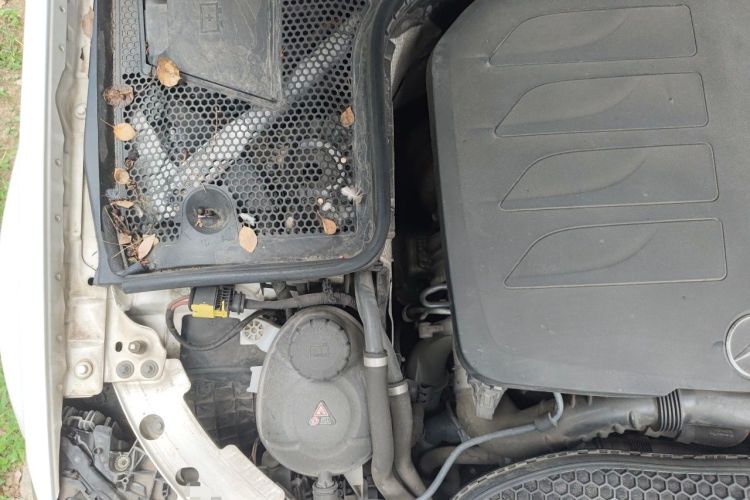 Used Mercedes-Benz C-Class 2019 C 260 L Sport Edition Engine Bay Right