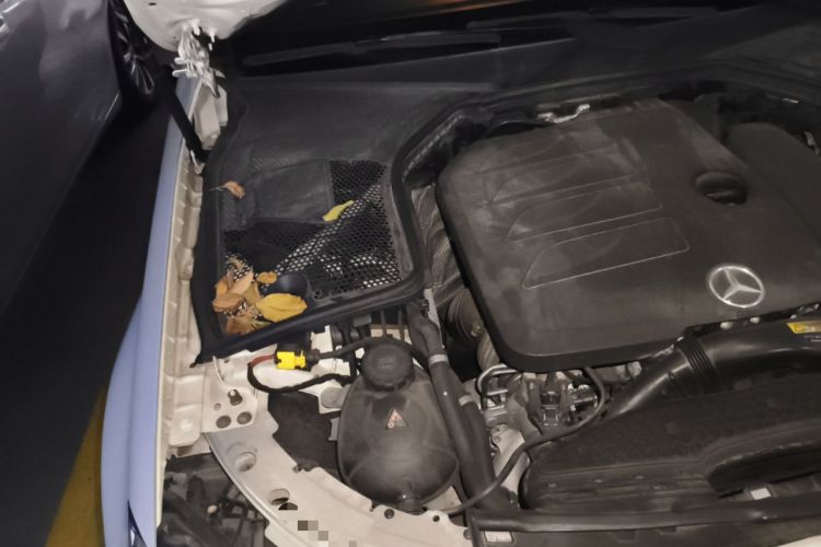 Used Mercedes-Benz C-Class 2019 C 260 Coupe Engine Bay Right