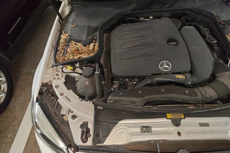 Used Mercedes-Benz C-Class 2019 Restyled C 260 L Sport Edition Engine Bay Right
