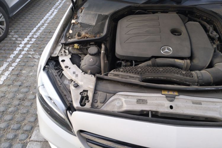 Used Mercedes-Benz C-Class 2019 C 260 Sport Edition Engine Bay Right