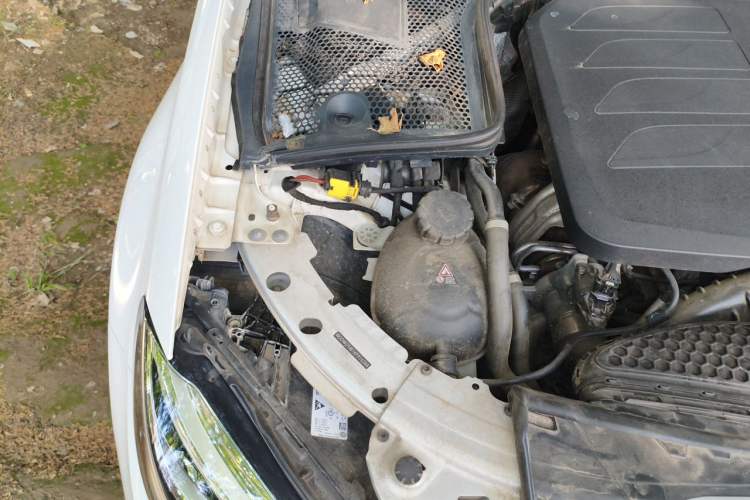 Used Mercedes-Benz C-Class 2019 C 260 Coupe Engine Bay Right