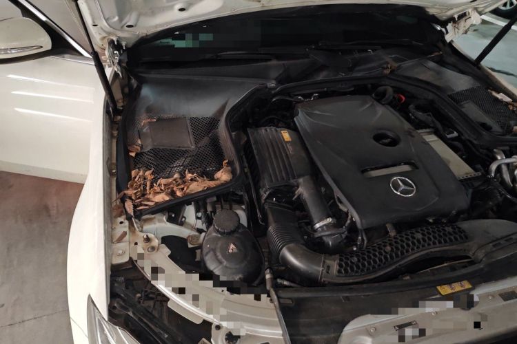 Used Mercedes-Benz C-Class 2019 C 180 L Fashion Edition Sport Version Engine Bay Right