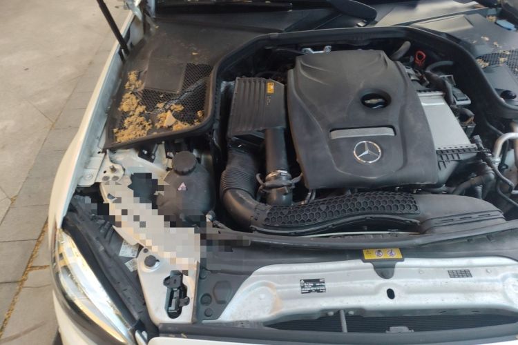 Used Mercedes-Benz C-Class 2019 C 180 L Fashion Edition Sport Version Engine Bay Right