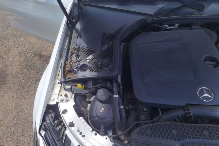 Used Mercedes-Benz C-Class 2019 C 260 L Sport Edition Engine Bay Right