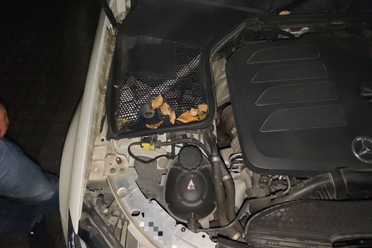 Used Mercedes-Benz C-Class 2019 C 260 Sport Edition Engine Bay Right