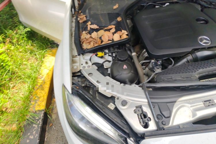 Used Mercedes-Benz C-Class 2019 C 260 L Sport Edition Engine Bay Right