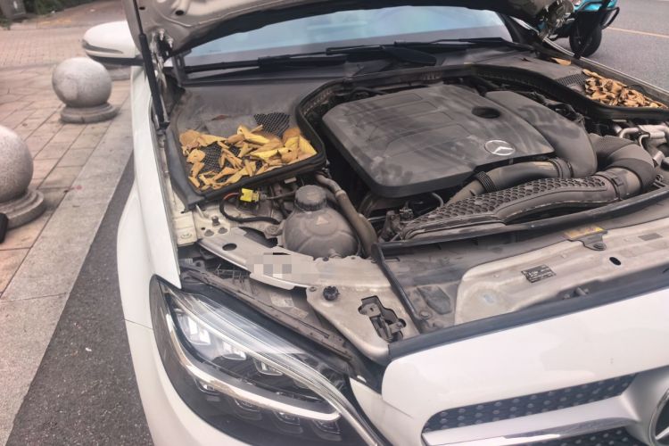 Used Mercedes-Benz C-Class 2019 Restyled C 260 L Sport Edition Engine Bay Right