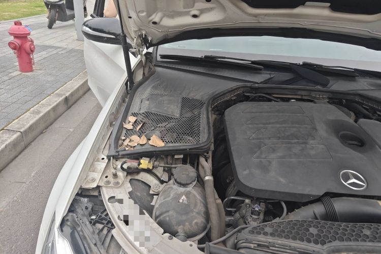 Used Mercedes-Benz C-Class 2019 C 260 Sport Edition Engine Bay Right